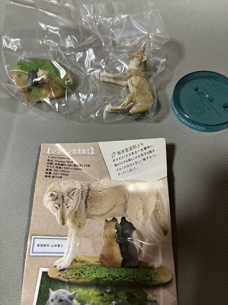 Amazon | 旭山動物園 カプセルズー vol.5 単品 シンリンオオカミ
